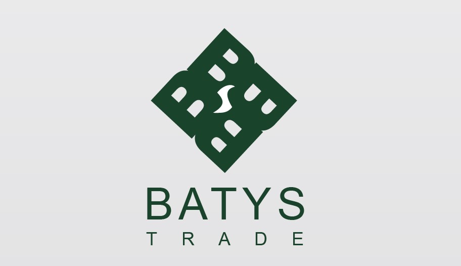 Логотип Batys Trade