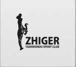 логотип жигер zhiger тхэквондо taekwondo бимов даулет