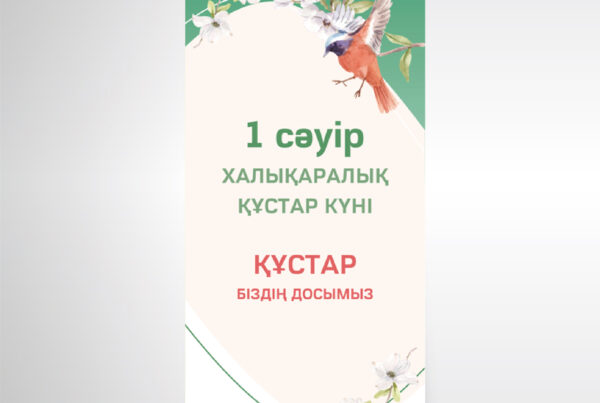 Ролл-ап