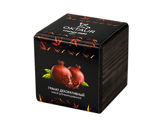 vto.kz-fe8c50939b08bcd4